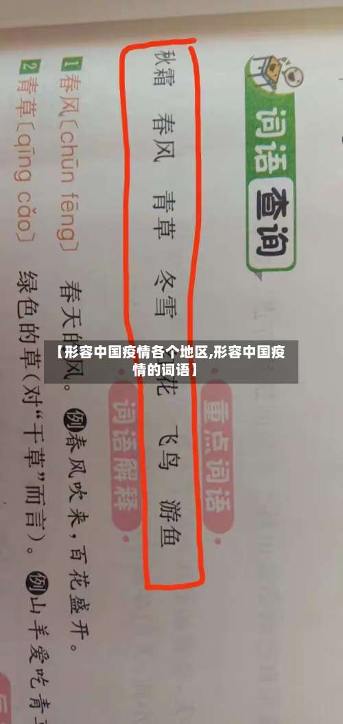 【形容中国疫情各个地区,形容中国疫情的词语】-第1张图片