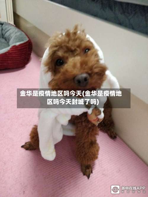金华是疫情地区吗今天(金华是疫情地区吗今天封城了吗)-第1张图片