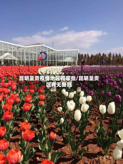 昆明呈贡疫情地区有哪些/昆明呈贡区有无新冠-第2张图片