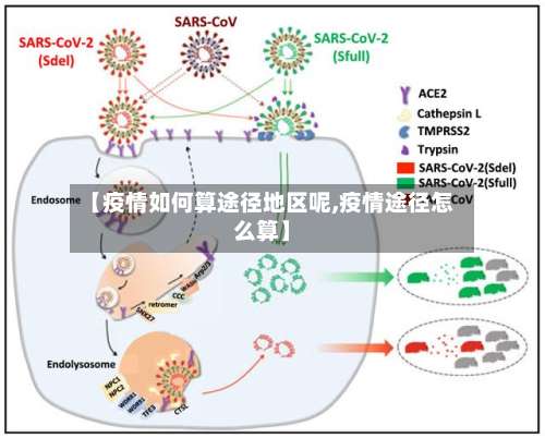 【疫情如何算途径地区呢,疫情途径怎么算】-第1张图片