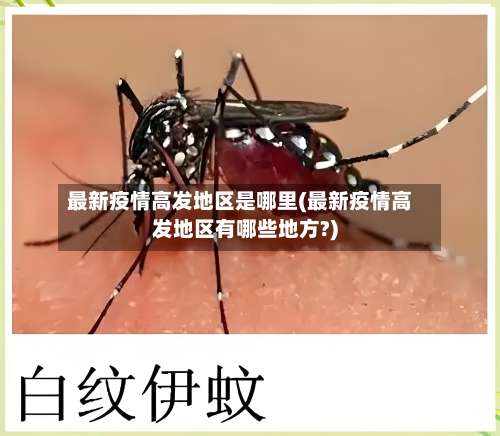 最新疫情高发地区是哪里(最新疫情高发地区有哪些地方?)-第1张图片