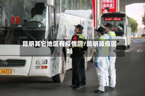 昆明其它地区有疫情吗/昆明算疫区吗-第2张图片