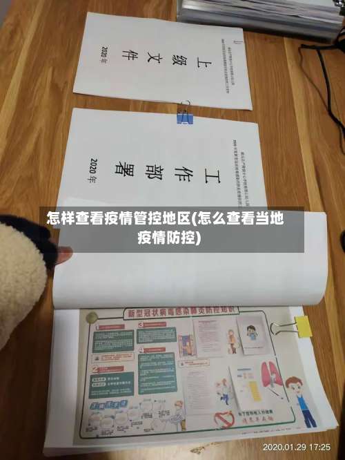 怎样查看疫情管控地区(怎么查看当地疫情防控)-第3张图片