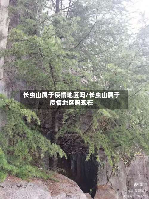长虫山属于疫情地区吗/长虫山属于疫情地区吗现在-第1张图片