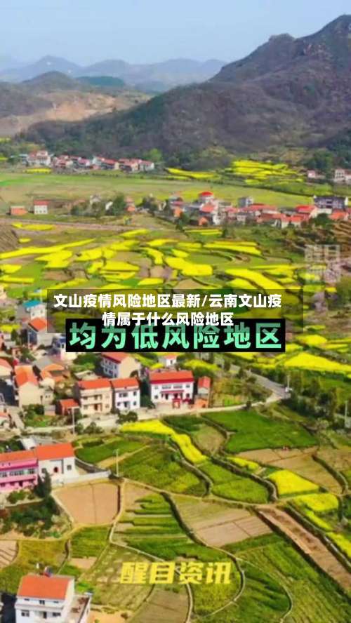 文山疫情风险地区最新/云南文山疫情属于什么风险地区-第3张图片