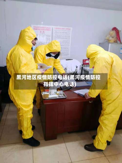黑河地区疫情防控电话(黑河疫情防控指挥中心电话)-第2张图片