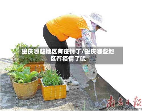 肇庆哪些地区有疫情了/肇庆哪些地区有疫情了呢-第1张图片