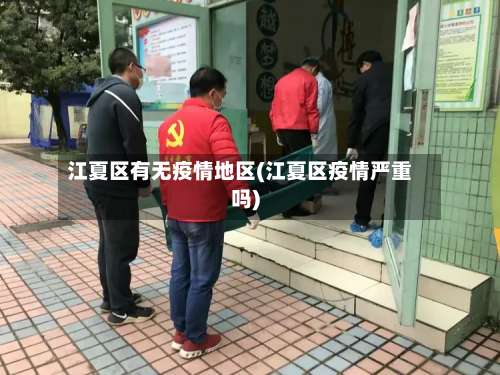 江夏区有无疫情地区(江夏区疫情严重吗)-第2张图片
