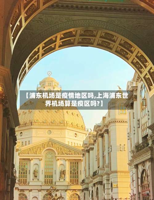 【浦东机场是疫情地区吗,上海浦东世界机场算是疫区吗?】-第2张图片