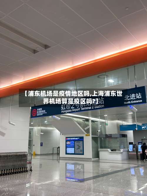 【浦东机场是疫情地区吗,上海浦东世界机场算是疫区吗?】-第3张图片