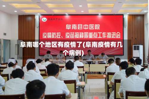 阜南哪个地区有疫情了(阜南疫情有几个病例)-第3张图片