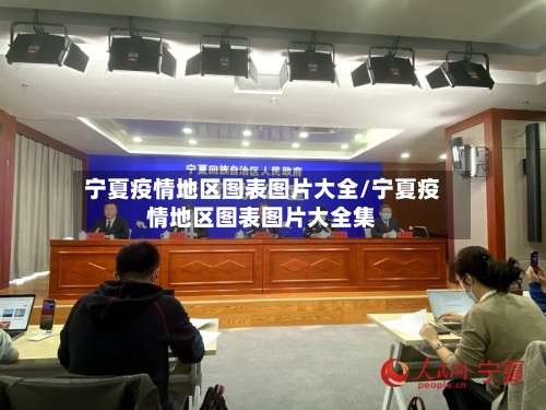 宁夏疫情地区图表图片大全/宁夏疫情地区图表图片大全集-第1张图片