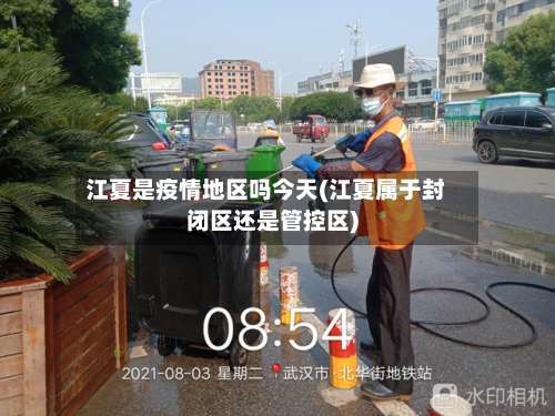 江夏是疫情地区吗今天(江夏属于封闭区还是管控区)-第2张图片