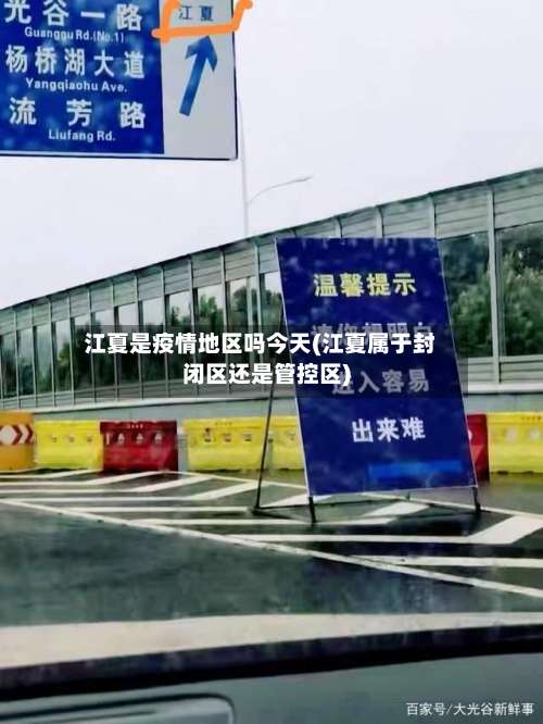 江夏是疫情地区吗今天(江夏属于封闭区还是管控区)-第3张图片