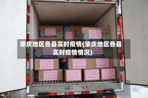 肇庆地区各县实时疫情(肇庆地区各县实时疫情情况)-第1张图片