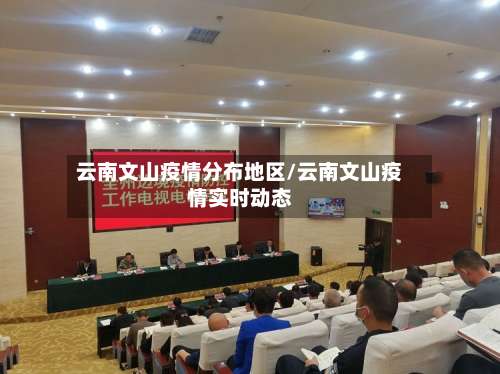 云南文山疫情分布地区/云南文山疫情实时动态-第2张图片