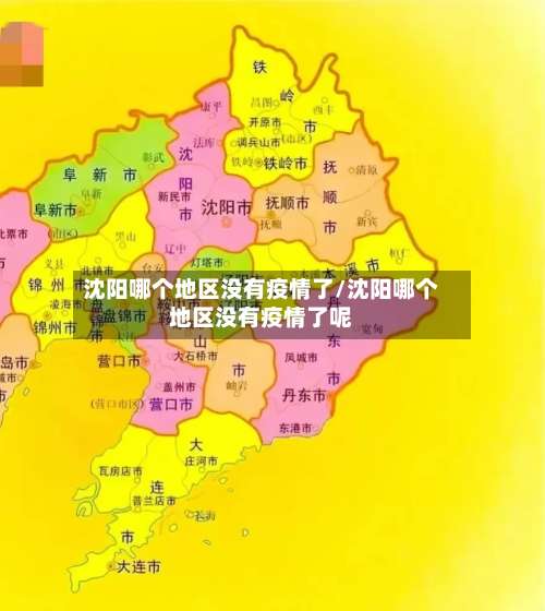 沈阳哪个地区没有疫情了/沈阳哪个地区没有疫情了呢-第2张图片