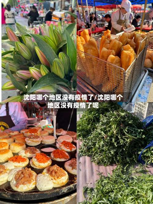 沈阳哪个地区没有疫情了/沈阳哪个地区没有疫情了呢-第1张图片