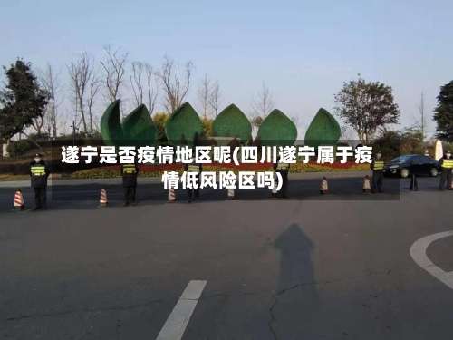 遂宁是否疫情地区呢(四川遂宁属于疫情低风险区吗)-第2张图片