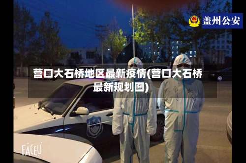 营口大石桥地区最新疫情(营口大石桥最新规划图)-第2张图片