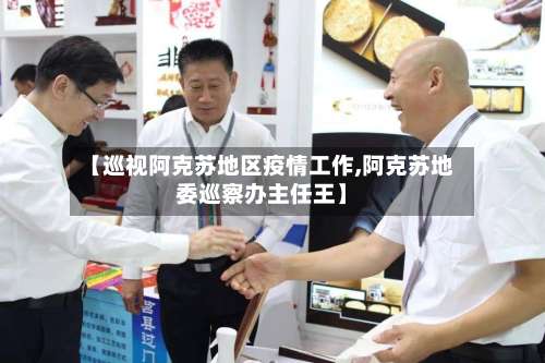 【巡视阿克苏地区疫情工作,阿克苏地委巡察办主任王】-第2张图片