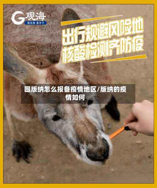 回版纳怎么报备疫情地区/版纳的疫情如何-第2张图片