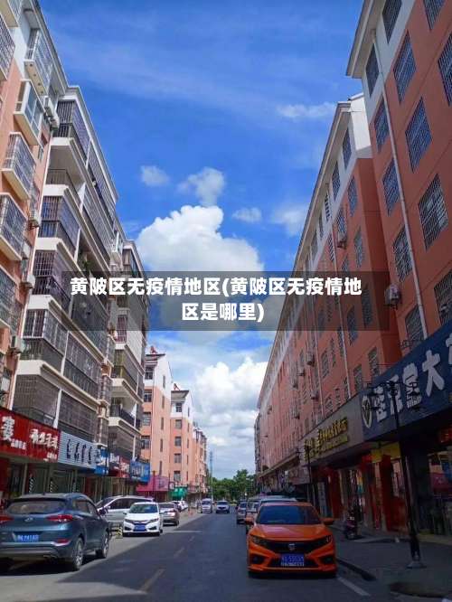 黄陂区无疫情地区(黄陂区无疫情地区是哪里)-第1张图片