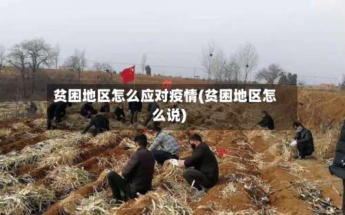 贫困地区怎么应对疫情(贫困地区怎么说)-第3张图片