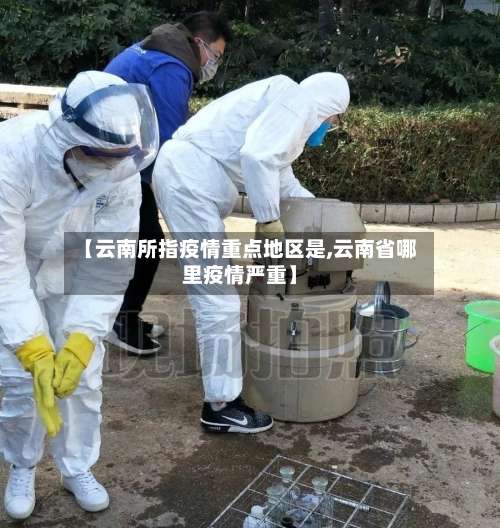 【云南所指疫情重点地区是,云南省哪里疫情严重】-第2张图片