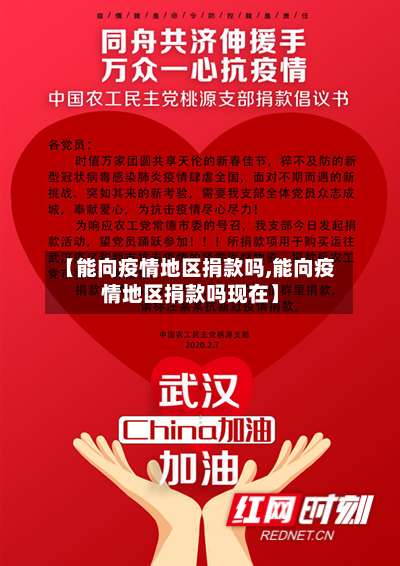 【能向疫情地区捐款吗,能向疫情地区捐款吗现在】-第2张图片