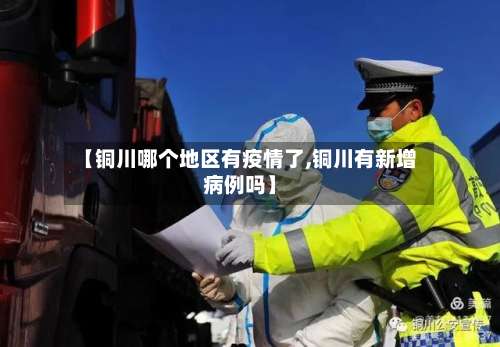 【铜川哪个地区有疫情了,铜川有新增病例吗】-第2张图片