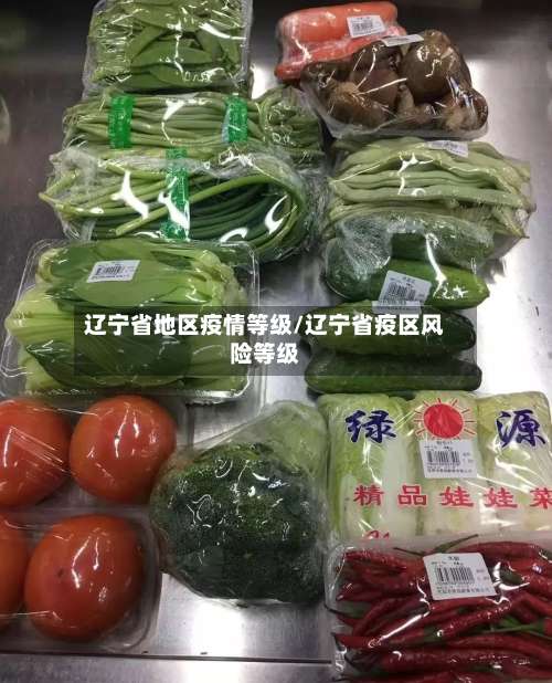 辽宁省地区疫情等级/辽宁省疫区风险等级-第2张图片