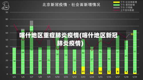 喀什地区重症肺炎疫情(喀什地区新冠肺炎疫情)-第2张图片