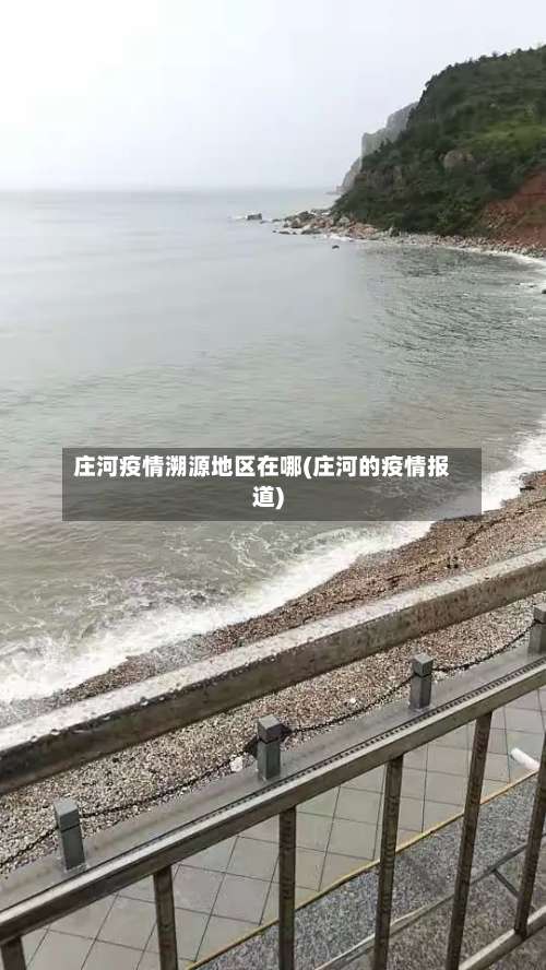 庄河疫情溯源地区在哪(庄河的疫情报道)-第1张图片