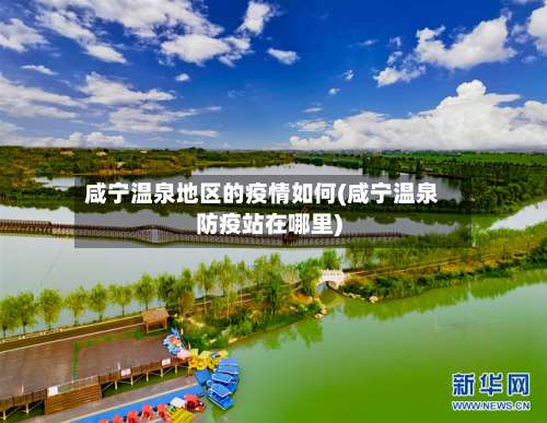 咸宁温泉地区的疫情如何(咸宁温泉防疫站在哪里)-第2张图片