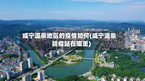 咸宁温泉地区的疫情如何(咸宁温泉防疫站在哪里)-第3张图片