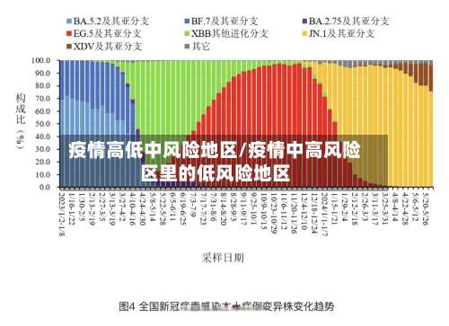 疫情高低中风险地区/疫情中高风险区里的低风险地区-第2张图片