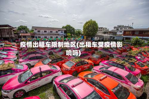 疫情出租车限制地区(出租车受疫情影响吗)-第2张图片