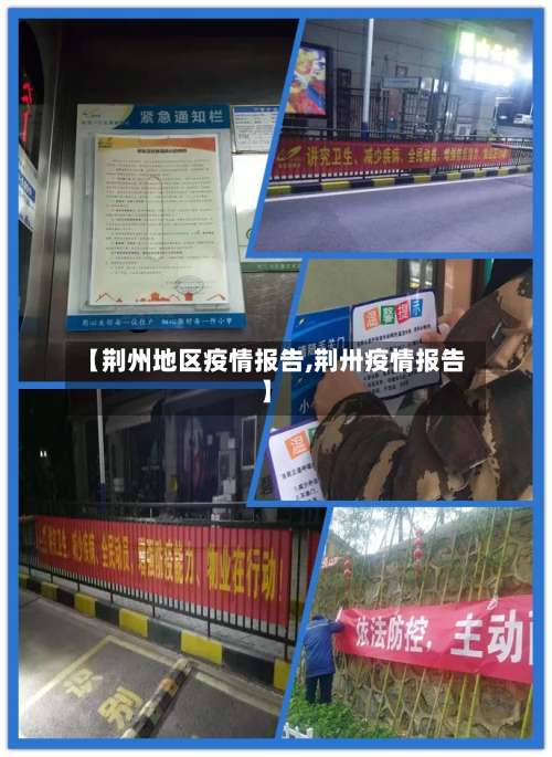 【荆州地区疫情报告,荆卅疫情报告】-第3张图片