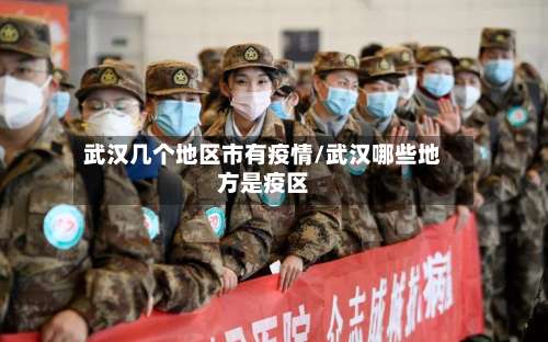武汉几个地区市有疫情/武汉哪些地方是疫区-第1张图片