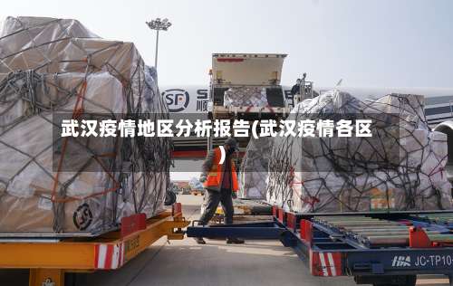 武汉疫情地区分析报告(武汉疫情各区)-第1张图片