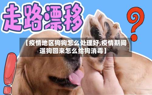 【疫情地区狗狗怎么处理好,疫情期间遛狗回来怎么给狗消毒】-第1张图片