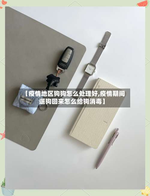 【疫情地区狗狗怎么处理好,疫情期间遛狗回来怎么给狗消毒】-第3张图片
