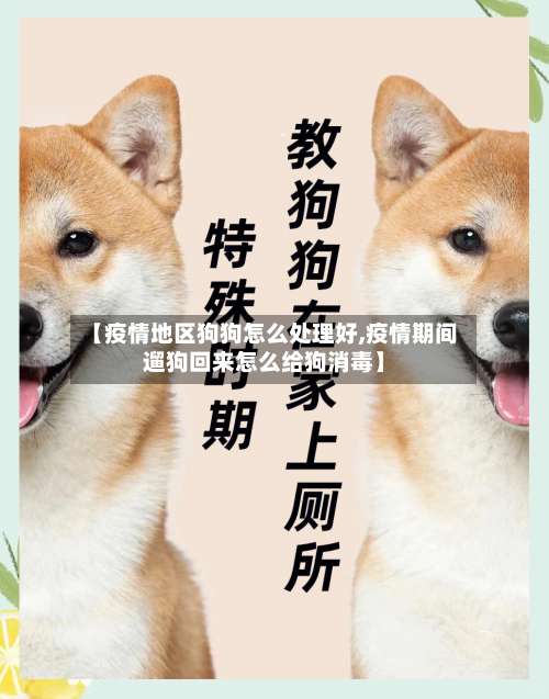 【疫情地区狗狗怎么处理好,疫情期间遛狗回来怎么给狗消毒】-第2张图片