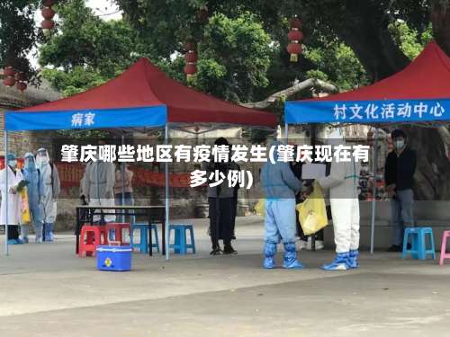 肇庆哪些地区有疫情发生(肇庆现在有多少例)-第2张图片