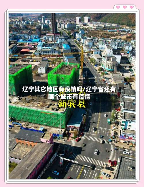 辽宁其它地区有疫情吗/辽宁省还有哪个城市有疫情-第3张图片