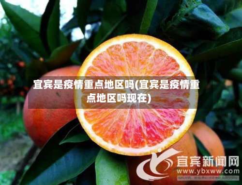 宜宾是疫情重点地区吗(宜宾是疫情重点地区吗现在)-第1张图片