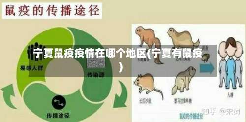 宁夏鼠疫疫情在哪个地区(宁夏有鼠疫)-第2张图片