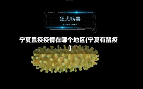 宁夏鼠疫疫情在哪个地区(宁夏有鼠疫)-第1张图片