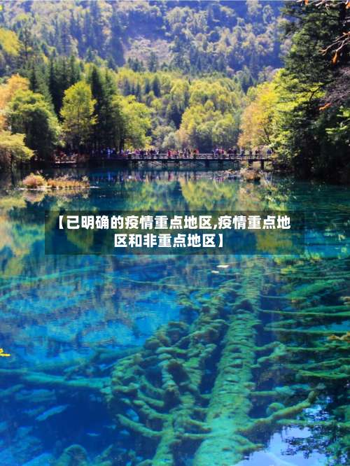 【已明确的疫情重点地区,疫情重点地区和非重点地区】-第3张图片